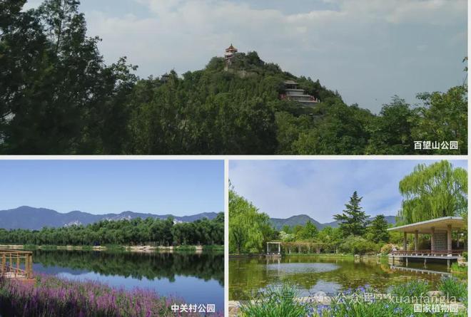2025颐海云颂售楼处(颐海云颂)楼盘百科-24小时预约热线(图6)