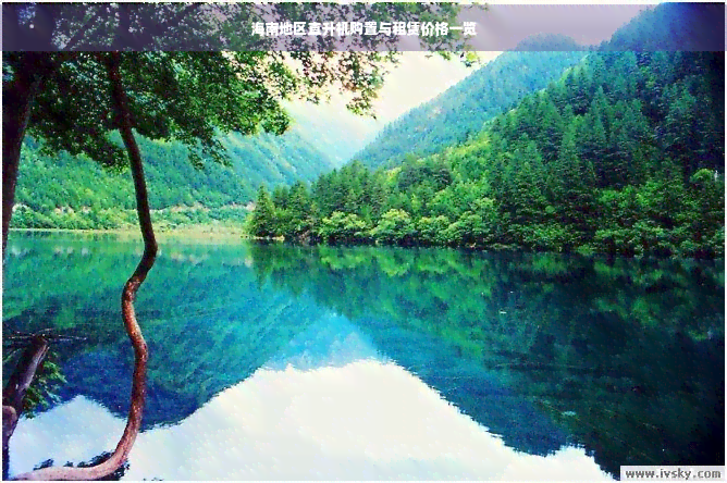 海南地区直升机购置与租赁价格一览(图1)