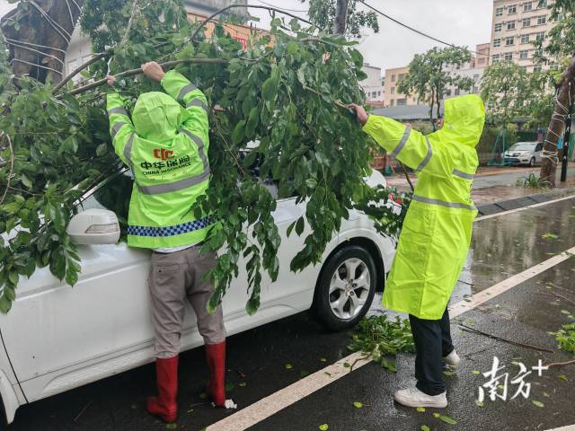 如何筑牢抵御台风“韦帕”防线？ 广东这样做(图2)