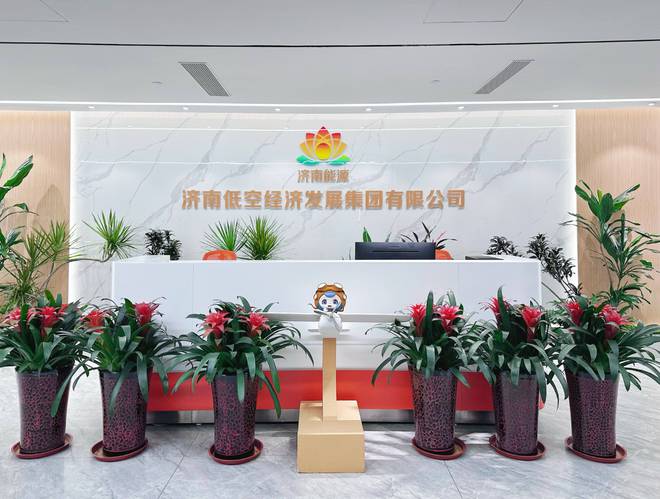 低空经济山东加速起飞！(图4)