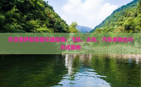 天津至伊犁完整交通指南：飞机、火车、汽车多种出行方式解析(图3)