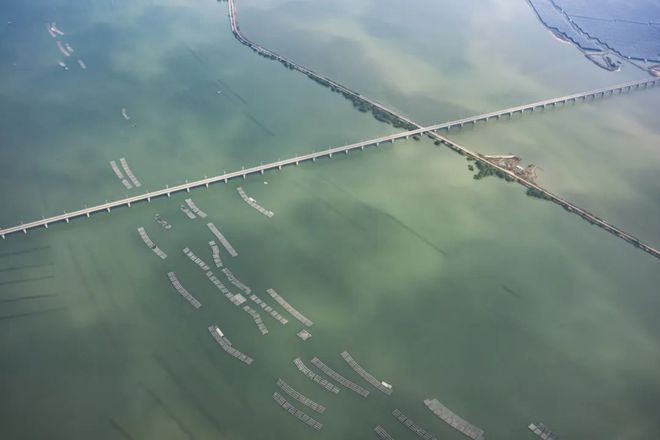 在高铁站实现飞机自由？实探湛江打“飞的”半小时抵海南(图9)