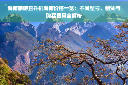 海南旅游直升机多少钱(图5)