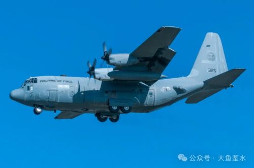 美国与菲律宾的军事合作(图4)